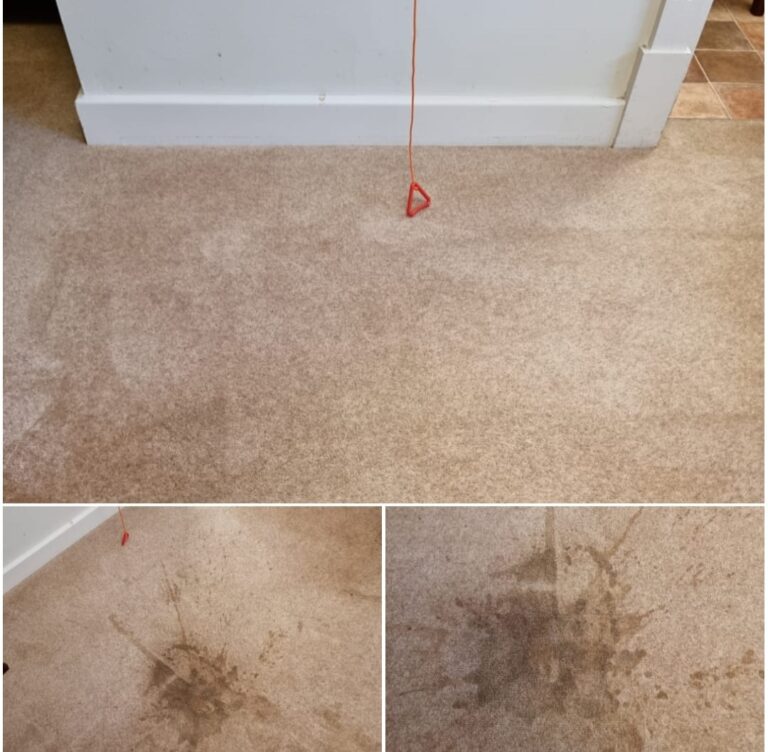 Home - Upholstery Cleaning - I Care Cleaning Services 12 Screenshot 20230212 053412 WhatsApp
