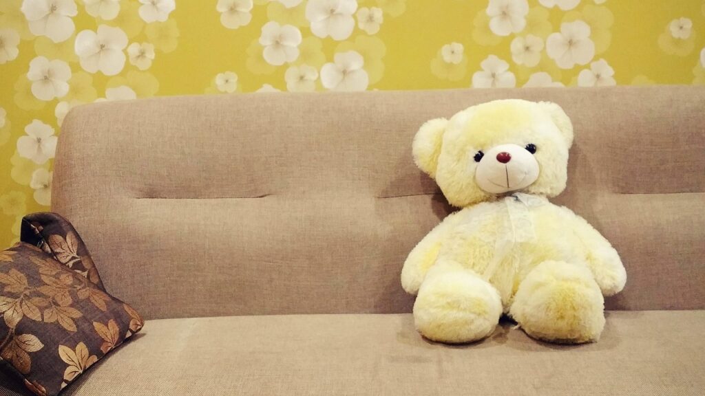 Couch Cleaning Edinburgh 4 Rug Cleaning Edinburgh Teddy